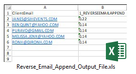 Reverse Email Append Output File Sample