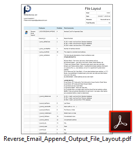 Reverse Email Append Output Layout File