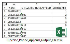 Reverse Phone Append Output File Sample